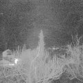 Webcam_20190115-060000