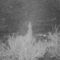 Webcam_20190115-070000