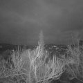 Webcam_20190115-073000