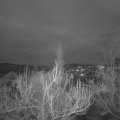 Webcam_20190115-173000