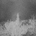 Webcam_20190115-190000