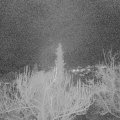 Webcam_20190115-193000