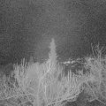 Webcam_20190115-200000