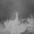 Webcam_20190115-203000