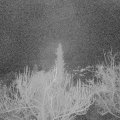 Webcam_20190115-210000