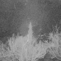 Webcam_20190115-220000