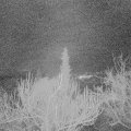 Webcam_20190116-060000