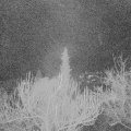 Webcam_20190116-070000