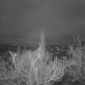 Webcam_20190116-073000