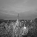 Webcam_20190116-173000