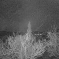 Webcam_20190116-193000