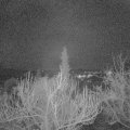 Webcam_20190116-210000