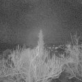 Webcam_20190116-213000