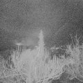 Webcam_20190117-060000