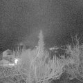 Webcam_20190117-063000