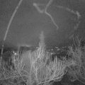 Webcam_20190117-073000