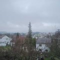 Webcam_20190117-113000