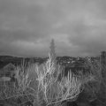 Webcam_20190117-173000