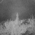 Webcam_20190117-180000