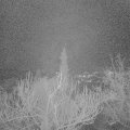 Webcam_20190117-200000