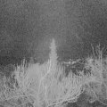 Webcam_20190117-203000