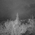 Webcam_20190117-210000