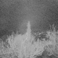Webcam_20190117-213000