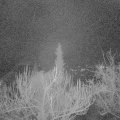 Webcam_20190117-220000