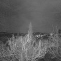 Webcam_20190118-203000