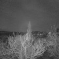 Webcam_20190118-220000