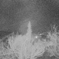 Webcam_20190119-060000