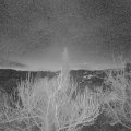 Webcam_20190119-070000