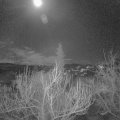 Webcam_20190119-190000