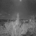 Webcam_20190119-203000