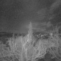Webcam_20190119-213000