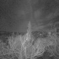Webcam_20190119-220000