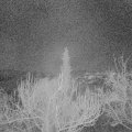 Webcam_20190120-063000