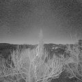 Webcam_20190120-070000