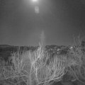 Webcam_20190120-203000