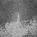 Webcam_20190121-063000