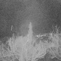 Webcam_20190123-200000