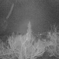 Webcam_20190123-220000