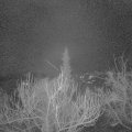 Webcam_20190124-070000