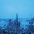Webcam_20190124-080000