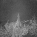 Webcam_20190124-203000