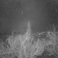 Webcam_20190124-213000