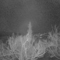 Webcam_20190125-063000