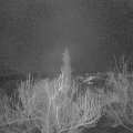 Webcam_20190125-070000