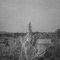 Webcam_20190125-073000