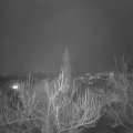 Webcam_20190125-180000